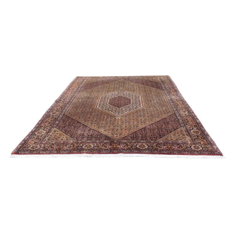 Bidjar-Perserteppich – handgeknüpfter Orientteppich in Braun, 305 × 210 cm