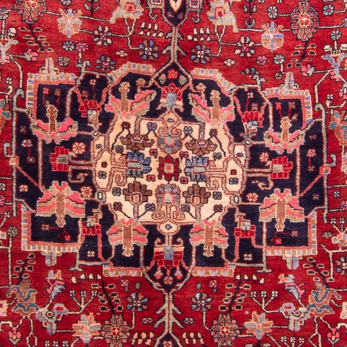 Bidjar-Perserteppich – handgeknüpfter Orientteppich in Rot, 260 × 149 cm