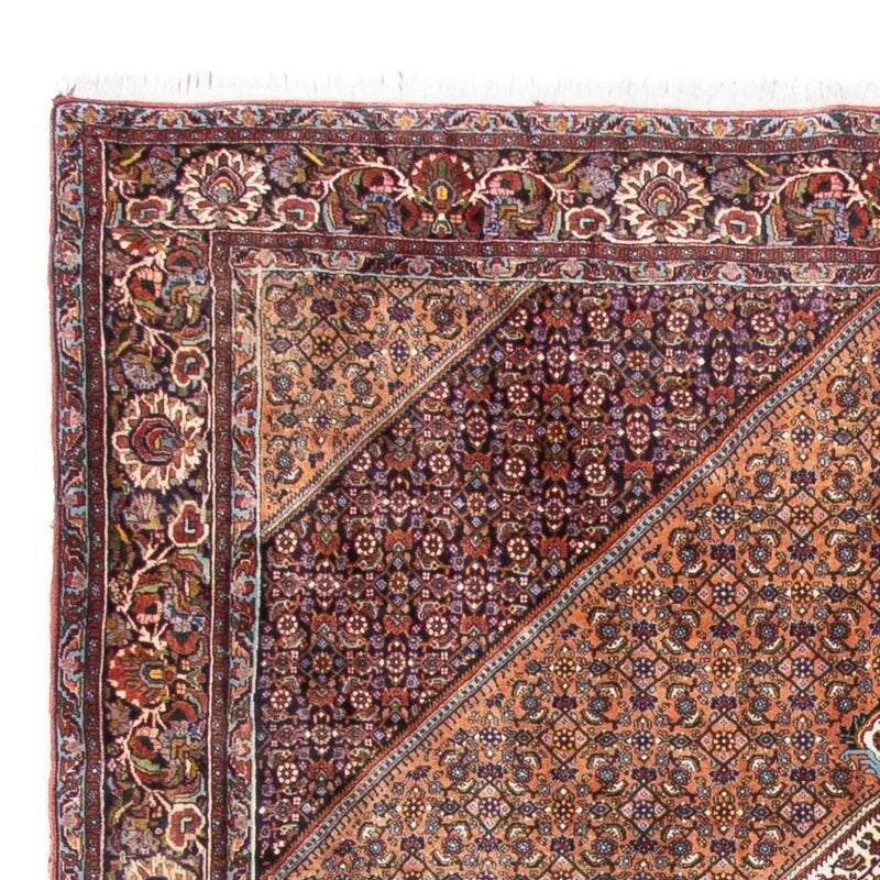 Bidjar-Perserteppich – handgeknüpfter Orientteppich in Braun, 305 × 210 cm