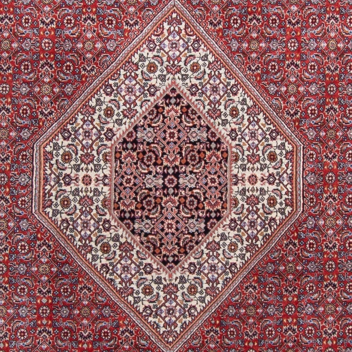 Bidjar-Perserteppich – handgeknüpfter Orientteppich in Rot, 290 × 200 cm